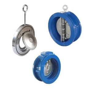 Check Valve
