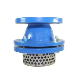 Foot Valve