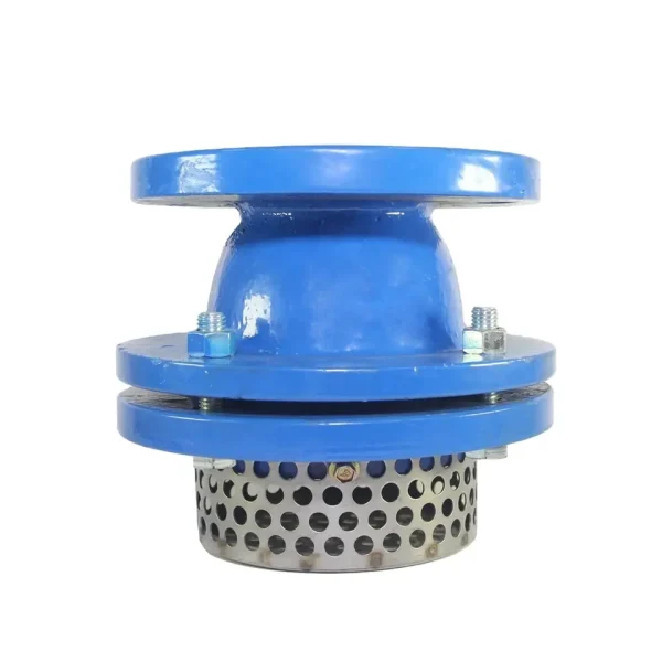 Foot Valve