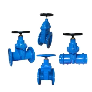Gate Valve