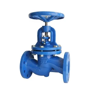 Globe Valve